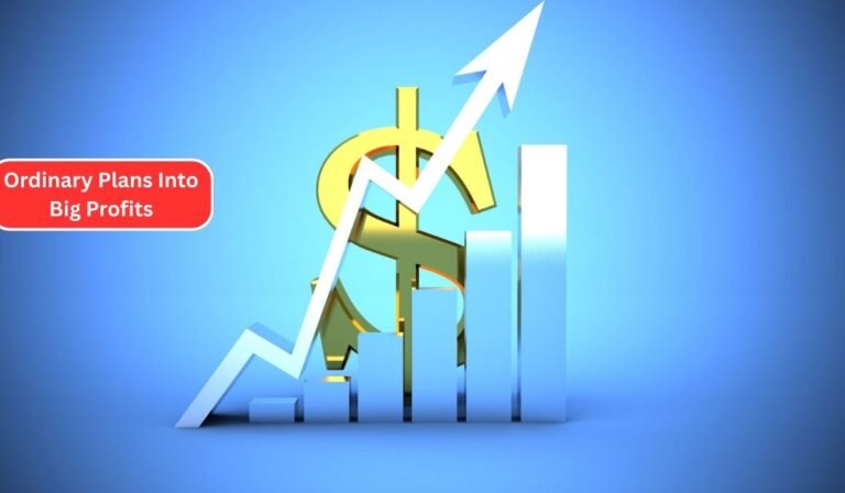 Ordinary Plans Into Big Profits